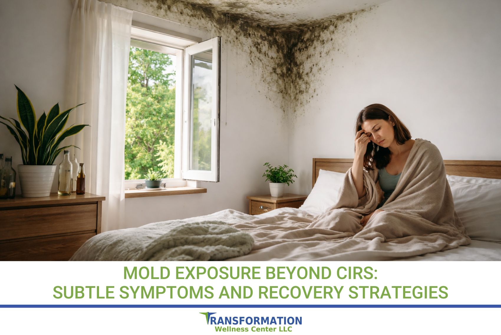 Mold Exposure Beyond CIRS Subtle Symptoms and Recovery Strategies
